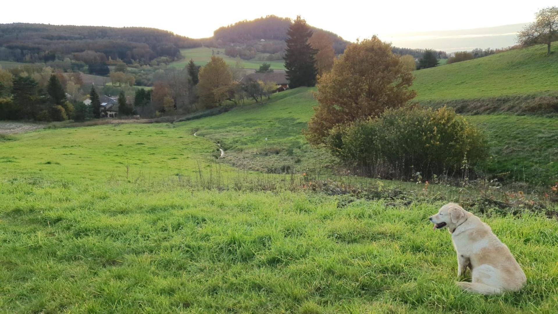 S'Yvoux Plait Leilighet La Chapelle  Eksteriør bilde
